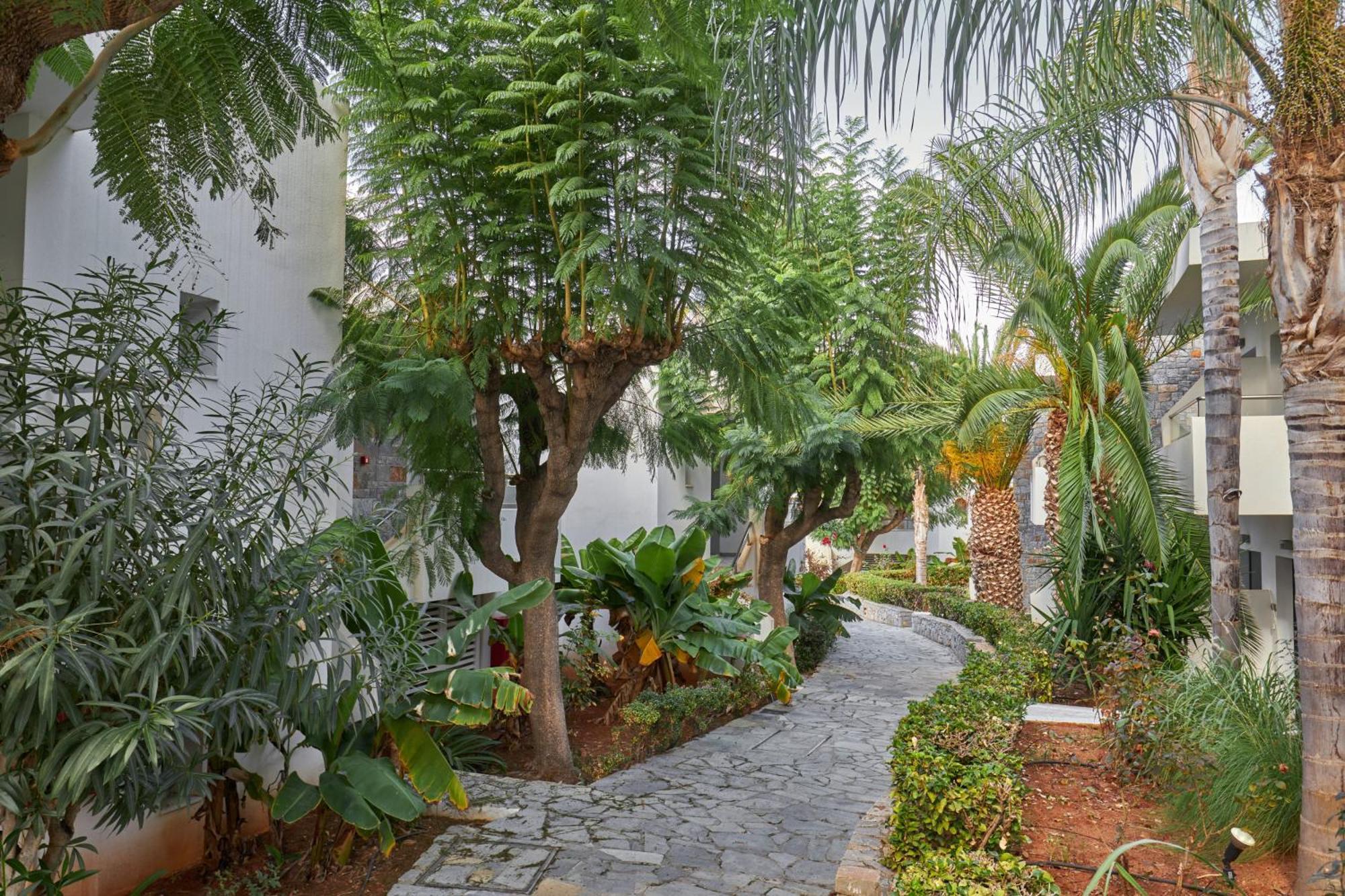 Kyknos Beach Hotel & Bungalows Malia  Exterior photo